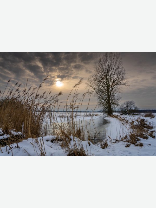 Winterstimmung - Gisela Aul