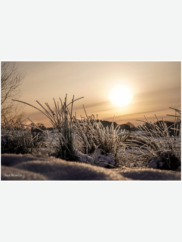 Winterzauber 1 - Ines Wowros