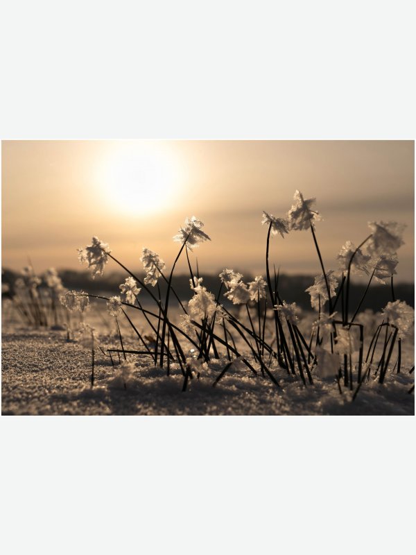 Winterzauber im Travetal - Ines Wowros