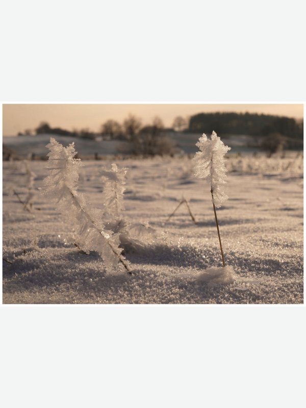 Winterzauber - Ines Wowros